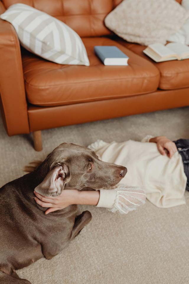 woman on carpet flooring enjoying floor time with dog